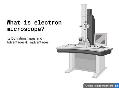 electron microscopy disadvantages|Electron Microscope: Principle, Types, Uses, Labeled .